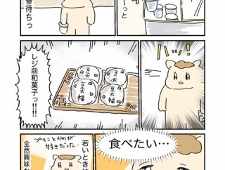 レジ前の大福の誘惑に勝てない