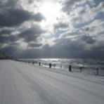 名古屋市中区　久屋歯科室　田島陽介・・・明るい老後への道・・・