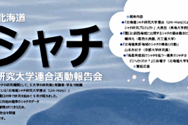 北海道東部で 少なくとも308頭のシャチが生息 サメ シャチ好き集まれ情報局