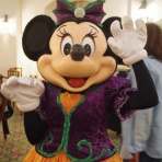 WORLDS DISNEY ～海外ディズニー旅行記～