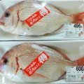 国東の食環境（453）国東の天然鯛