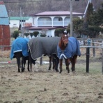 グランデラバーの会