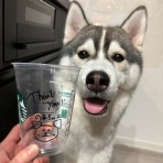 ペットショップワンラブ ゆめタウン光の森店のスタッフブログ