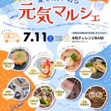 『＼夏を乗り切る元気チャージ🌻／ 「セキビズ チャレンジャーズ マルシェ」開催！』の画像