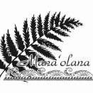 カネクラス募集‼️男性のフラ。