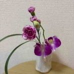 ひろこのひとりごと