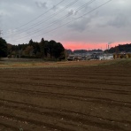 ひとりたのしむうた