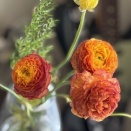 休日模様～夏日と河口と日本茶と、ギターの軽量化の話