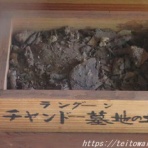 帝都を歩く