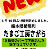 ��2018.06.16 ���ޤ���˼������ʵ���Į�ˤ������٤��ޤ����衪�٤β���