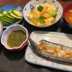 おかんの毎日と食事と猫