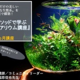 『オンラインサロン受講生募集！ 「SONOメソッドで学ぶ　ボトルアクアリウム講座」』の画像