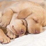 短時間睡眠の方法を教えてみようと思う