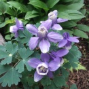 看取るという事