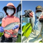 新安浦港・長谷川丸釣果