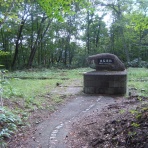 Ancient Botanical Garden