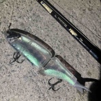 シーバス&ライトゲームな日々