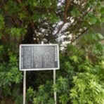 Web東京荏原都市物語資料館