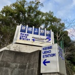 三毛猫ランチ２