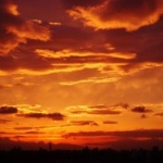 夕方が嫌いな奴ｗｗｗ