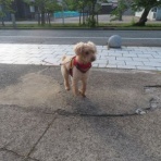 churahamaのブログ