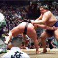 初日早々、横綱豊昇龍が負傷し２日目から球場とは残念ですネ…