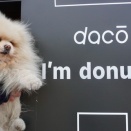 I'm donut？ 横浜臨港パーク