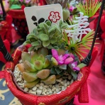 天然食材探しへ近くに気軽に出かけよう！