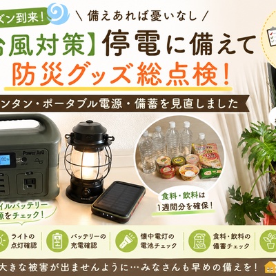 付録レビュー】ミナ ペルホネン30周年特装版を購入｜Casa