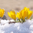 1/16 本日の結果＆オーバーナイトセクション