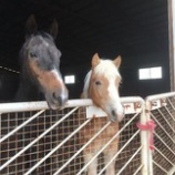 『仲良し』の画像