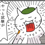 レインボーな猫たち