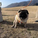 月曜日の、さんちゃん。