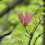 勝又壽良のワールドビュー