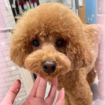 ペットショップ ワンラブ Coaska Bayside横須賀店のスタッフブログ