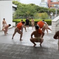 東日本学生相撲選手権大会結果報告