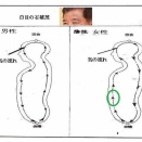 白目の石破茂首相に何ガ起こるのか