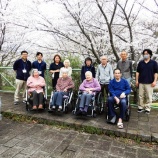 『お花見ドライブ🚗』の画像