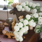 今年も飾ることが出来た！ほぼ放置で毎年花を咲かせてくれるあの可愛いお花。