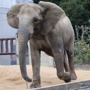 激怒プンプン丸な姉妹
