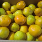 「いのち輝き塾」…人が輝く、企業が輝く、地球が輝く