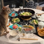 おうちごはんとおかしとねこ