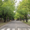 ゆっくりと籠り支度 ／ 実家帰省