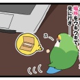 ゴルちゃんのお気に入りの紙、１日でなくなる