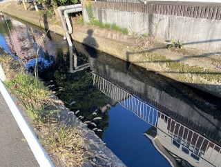 【ひゃっこい！湧水（２周目の57）】大真商会の前（エコひろば東原）の湧水（沼津市東原）