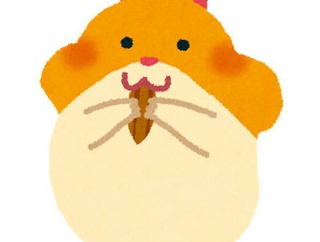 【無責任】姉がハムスター欲しいと言うので、妹が貰ってきたんだけど最初だけ面倒見てあとは放置。そんな姉が最近、ウサギを飼いたいと言い出した…