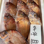 鮮魚・卸売・仕出し 丸庄