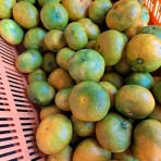 減農薬野菜、果物、お花、こだわりのうつわのお店　- 花うつわ大地（花咲農園） -