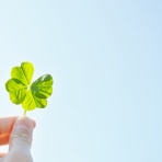 〜日々の泡〜36歳妊活Blog