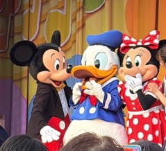 【12年ぶりの東京ディズニーランド④】ジャンボリミッキー当選！空いてる夕方アトラクション＆夜パレードはここが穴場でした♬